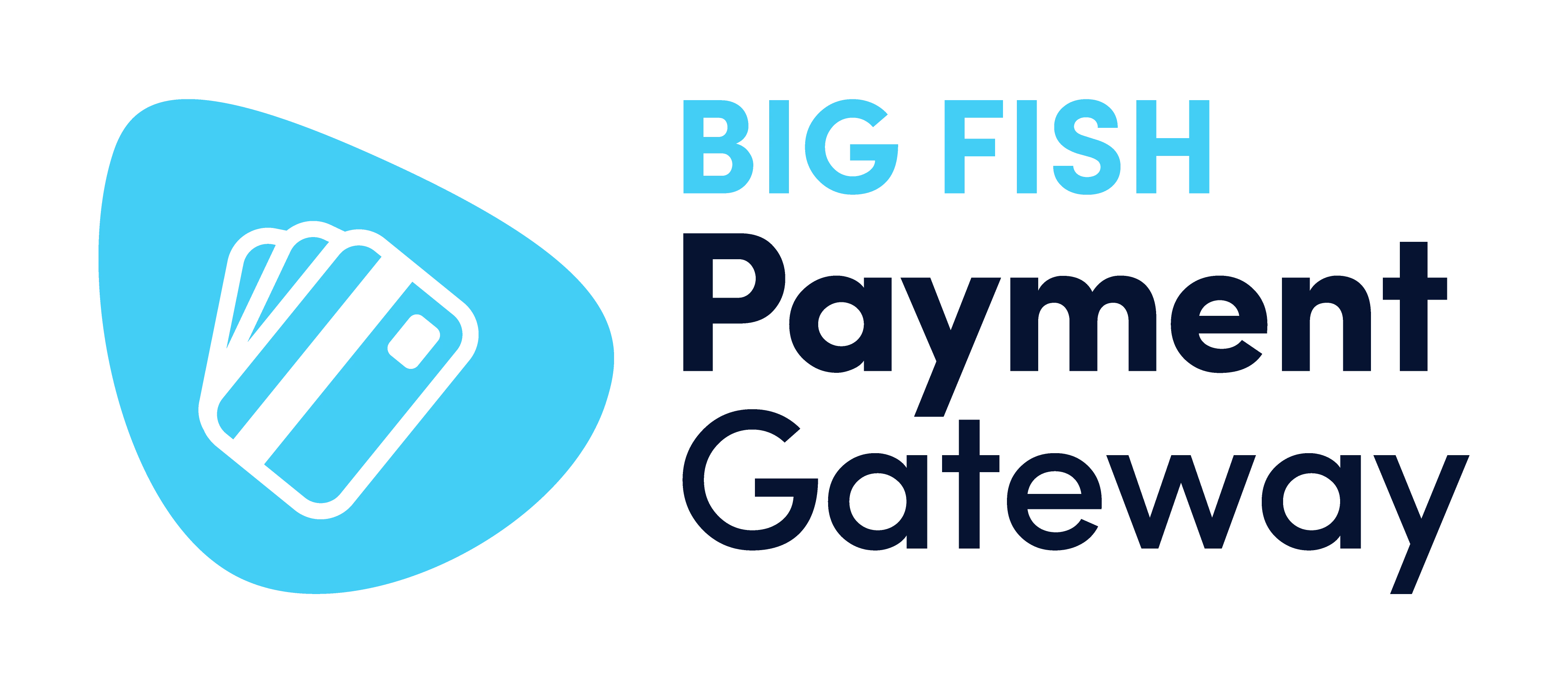 BIG FISH Payment Gateway BIG FISH Payment Gateway